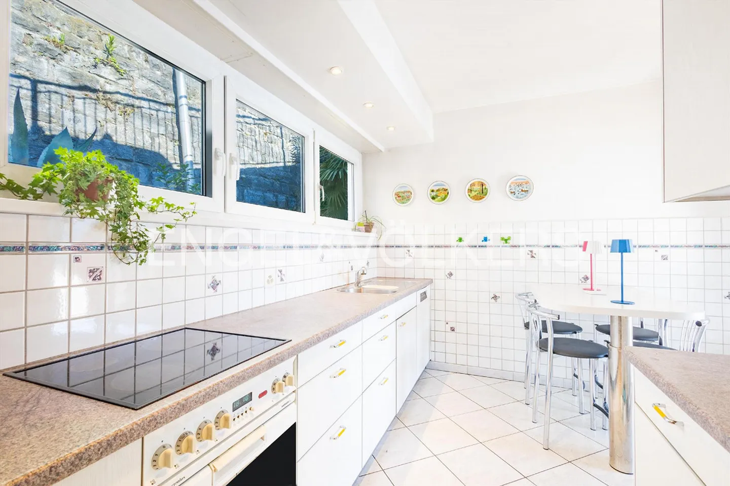 Gioiello raro con accesso diretto al lago - Foto 10 di 13