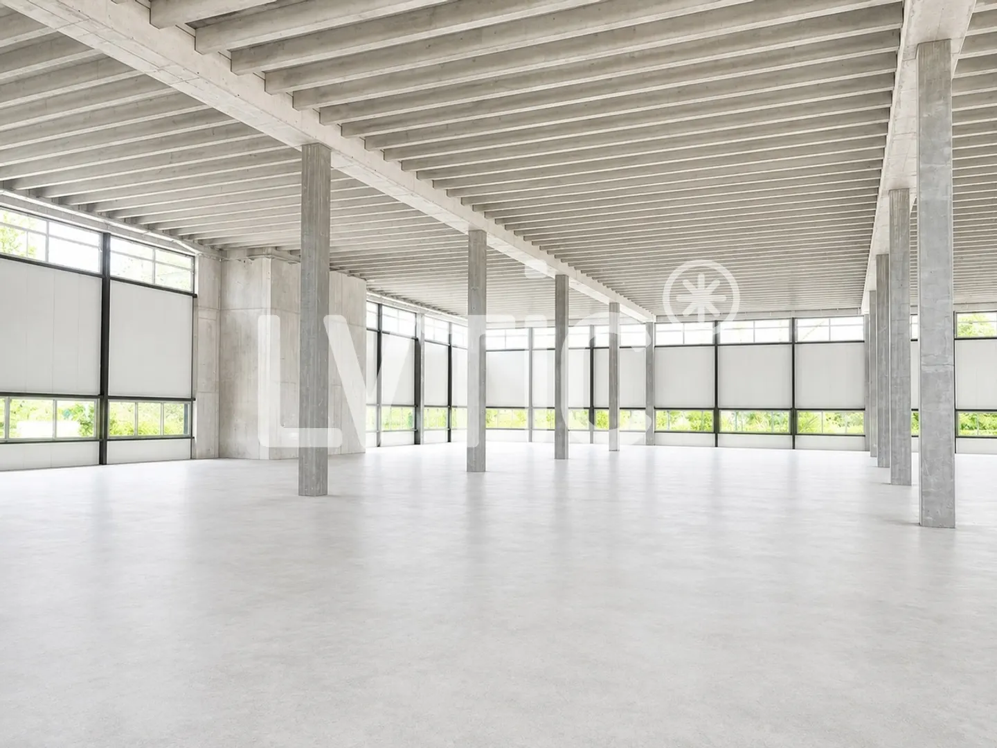 Industrial Hall and Offices for Rent - Photo 6 of 13