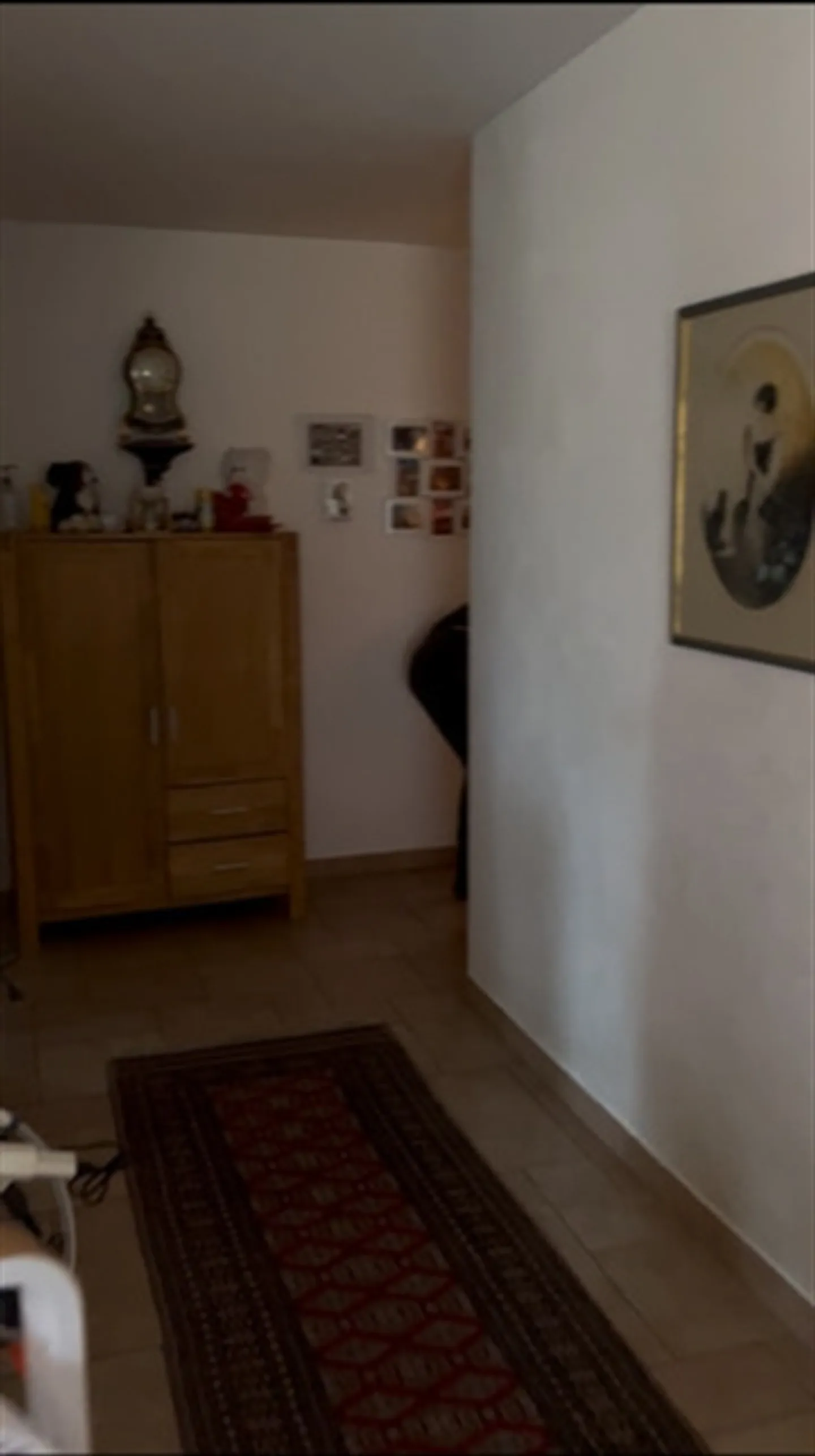 Appartamento di 4,5 stanze in affitto a Locarno - Foto 6 di 7