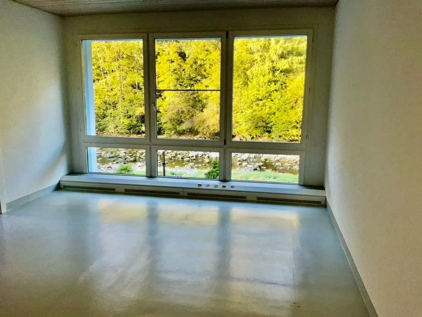 Proprietà commerciale rappresentativa a Hirzel - Foto 3 di 6