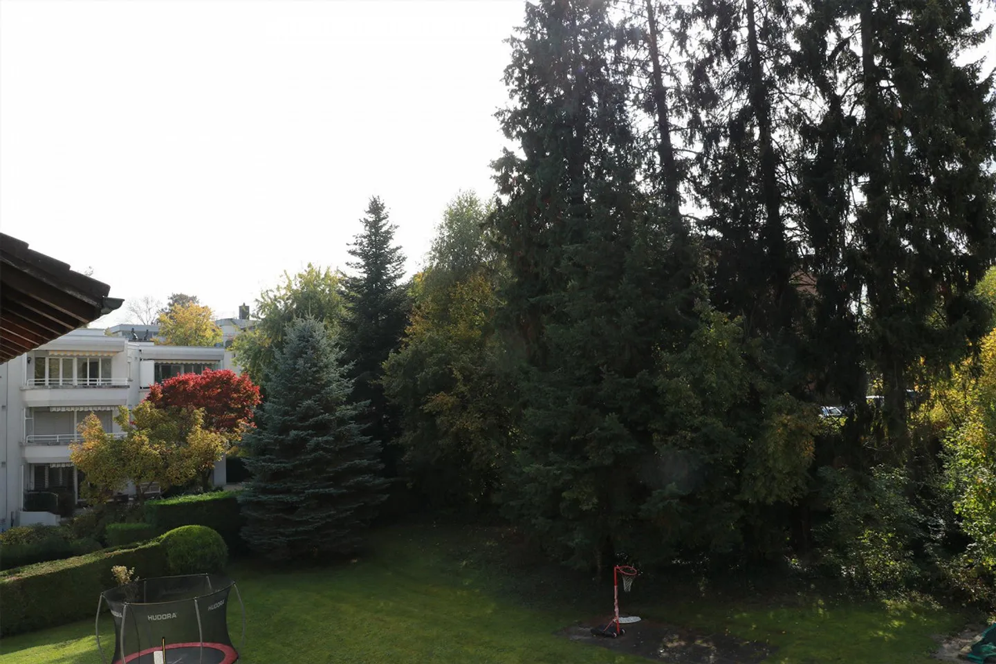 5 1/2 Room Apartment - Photo 7 of 7