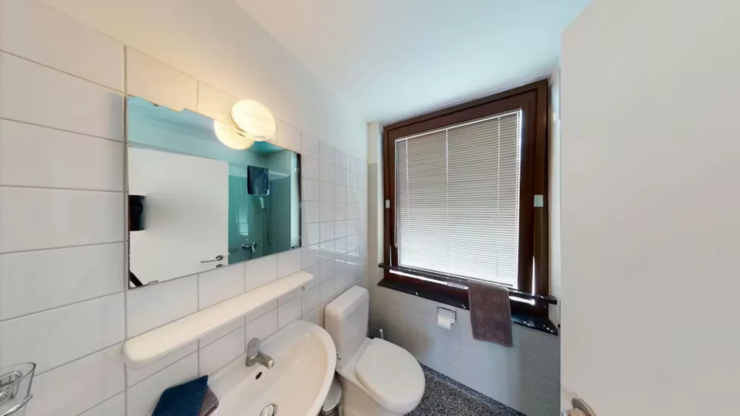 Charmante Wohnung in Basel - Foto 8 von 10