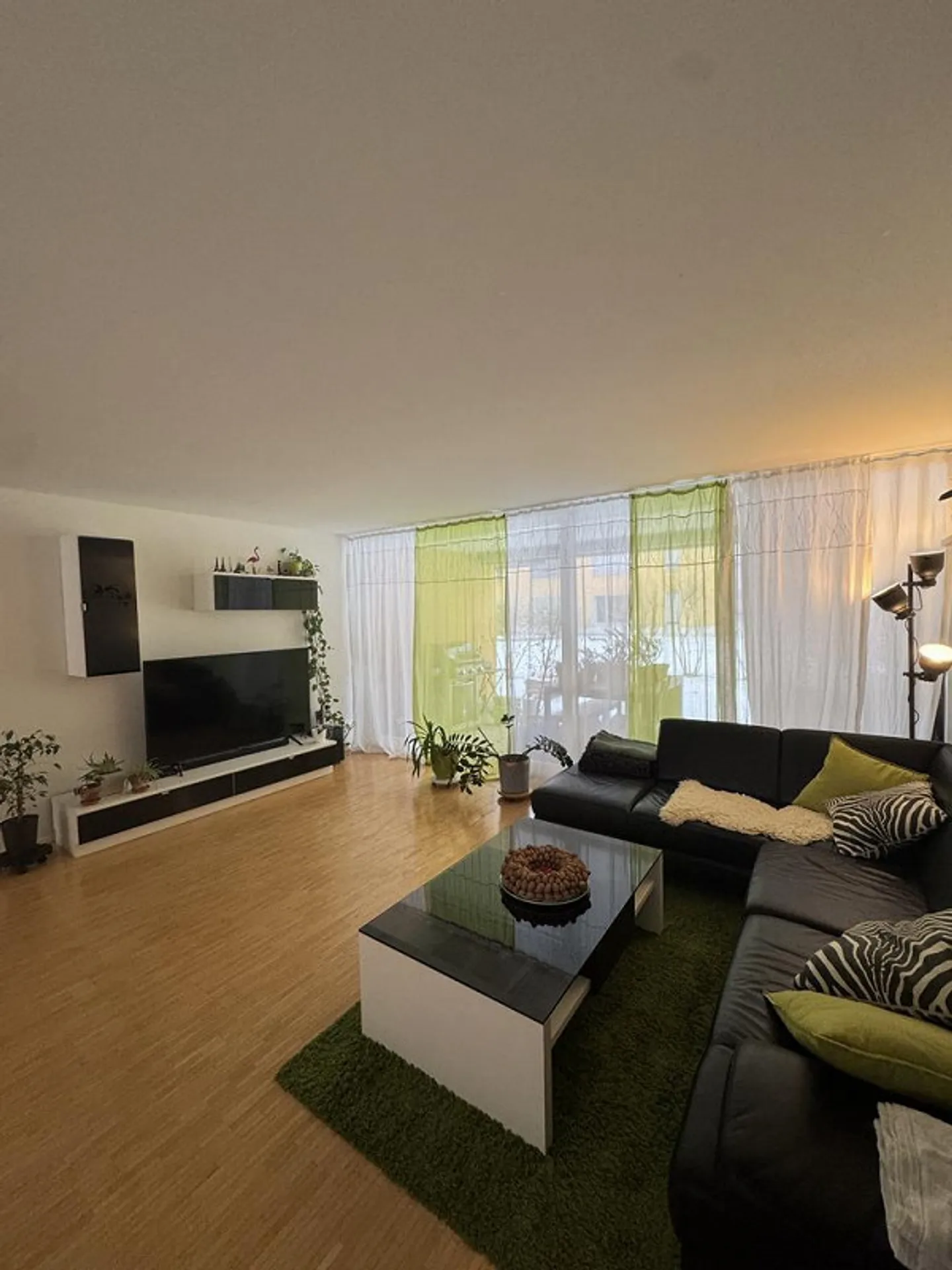 Visita: Venerdì, 06.02.2026 tra le 16:45 e le 17:45 - Foto 2 di 11