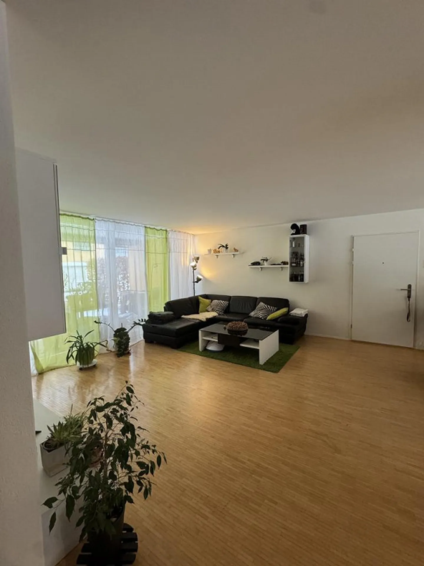 Visita: Venerdì, 06.02.2026 tra le 16:45 e le 17:45 - Foto 3 di 11