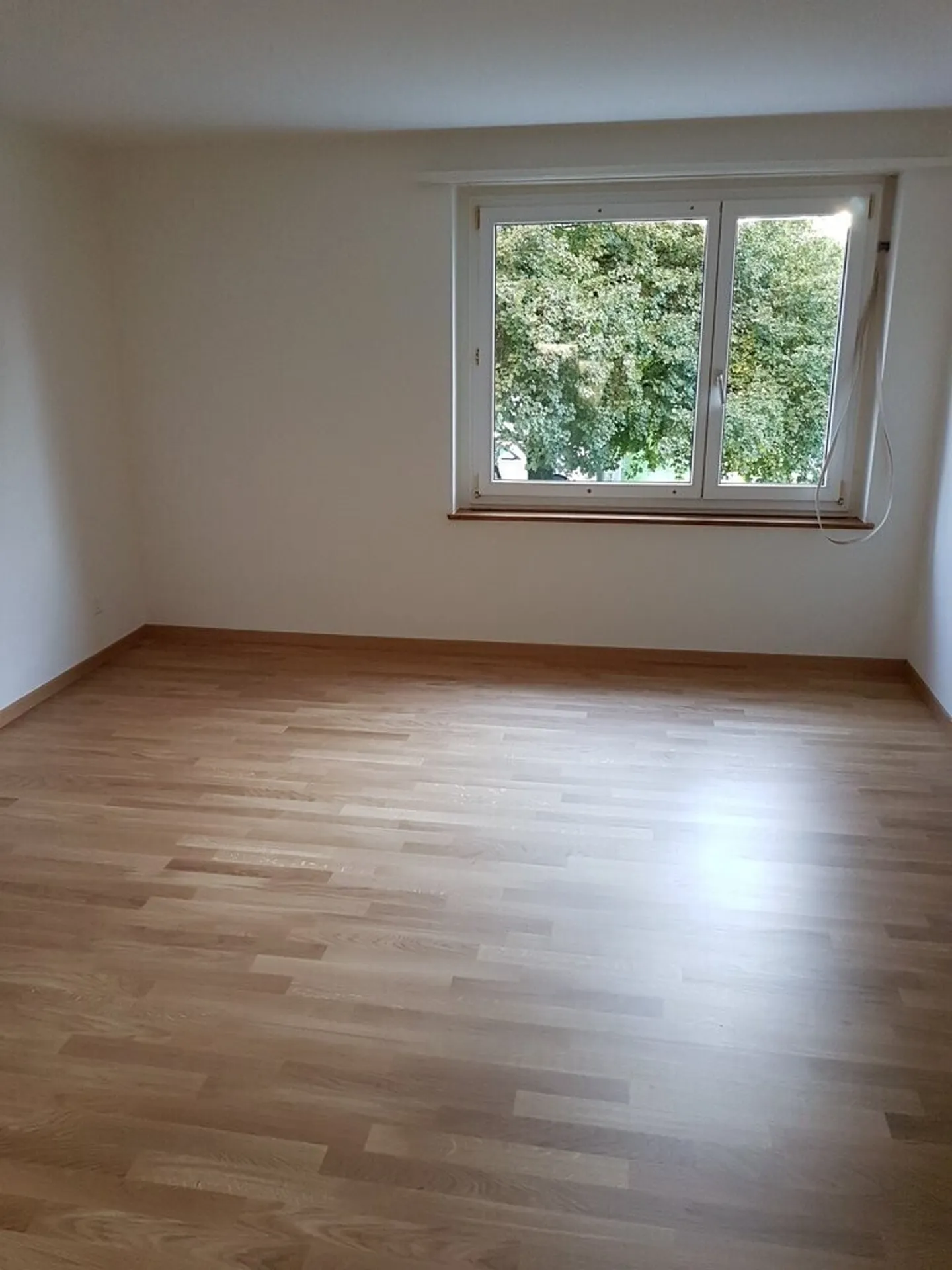 Gemütliche Wohnung ruhig gelegen! - Foto 5 von 6