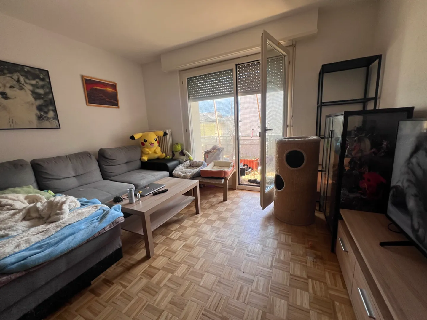 Appartement spacieux 3 pièces - Photo 2 sur 3