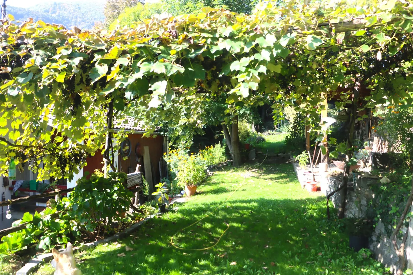 Casa affascinante con due appartamenti pronta per essere abitata - Foto 7 di 19