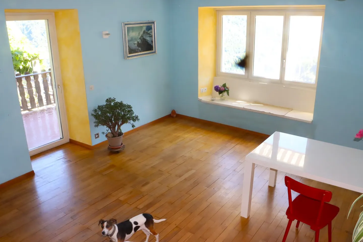 Casa affascinante con due appartamenti pronta per essere abitata - Foto 11 di 19