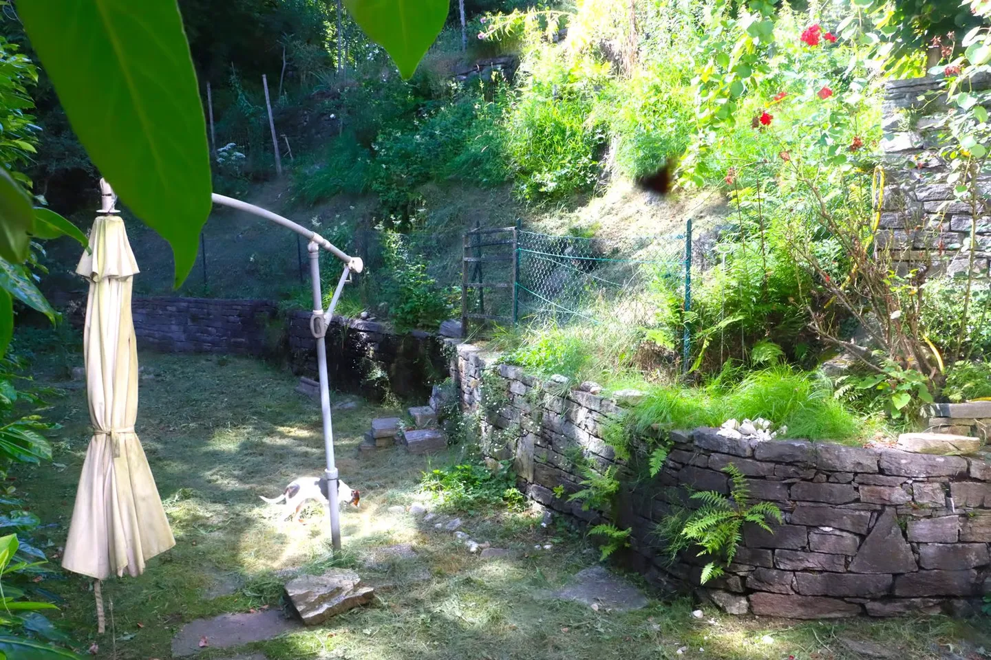 Casa affascinante con due appartamenti pronta per essere abitata - Foto 17 di 19