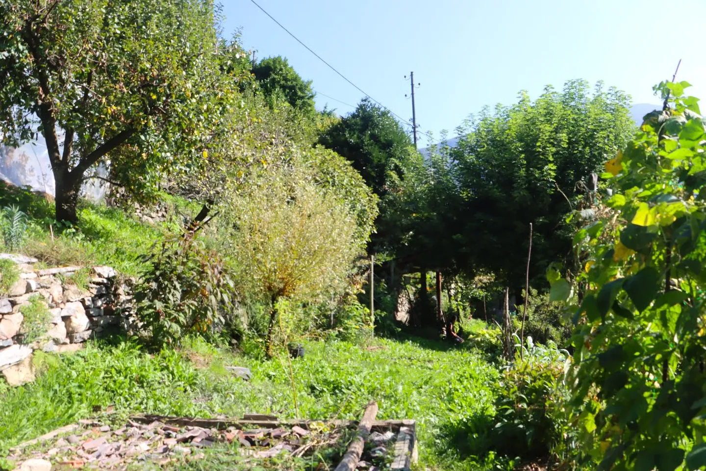 Casa affascinante con due appartamenti pronta per essere abitata - Foto 18 di 19