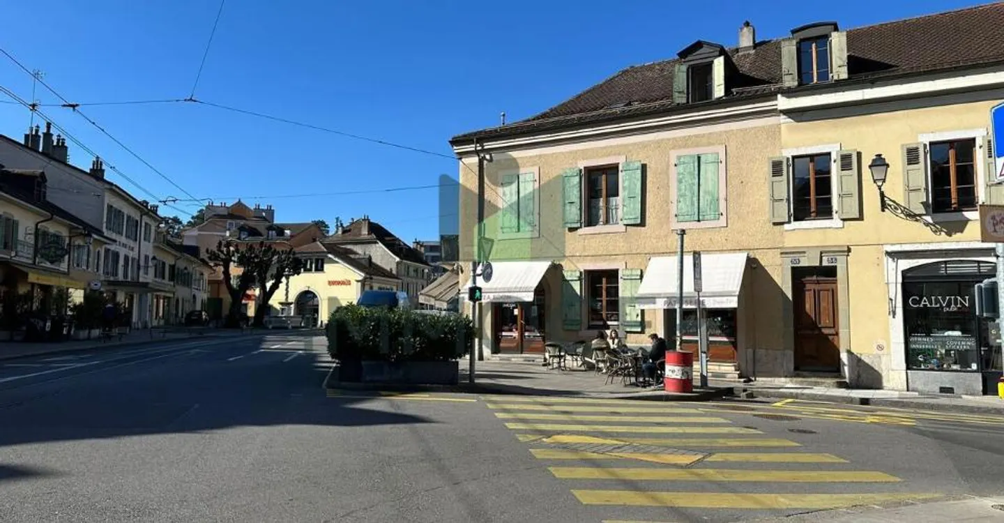 CO-EXCLUSIVITY: SMALL MIXED BUILDING IN OLD CAROUGE - Photo 2 of 4