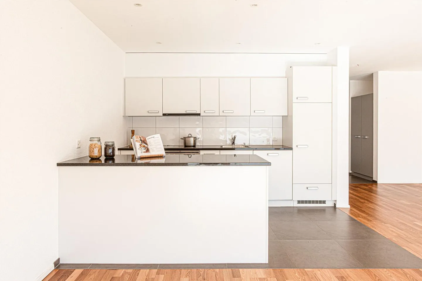 Modern Single Apartment - Photo 1 of 9