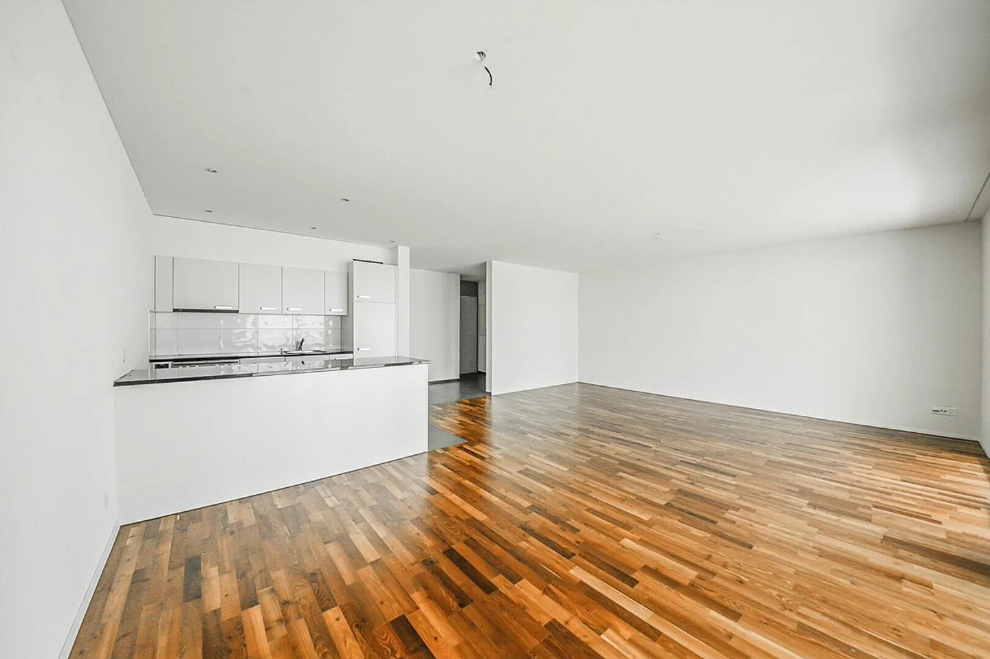 Modern Single Apartment - Photo 3 of 9