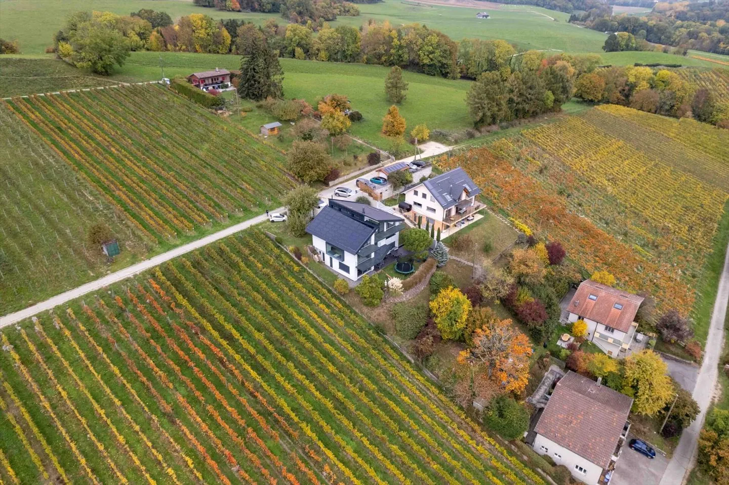 CLARMONT - Magnificent Architect Villa and Private Vineyard - Photo 2 of 13