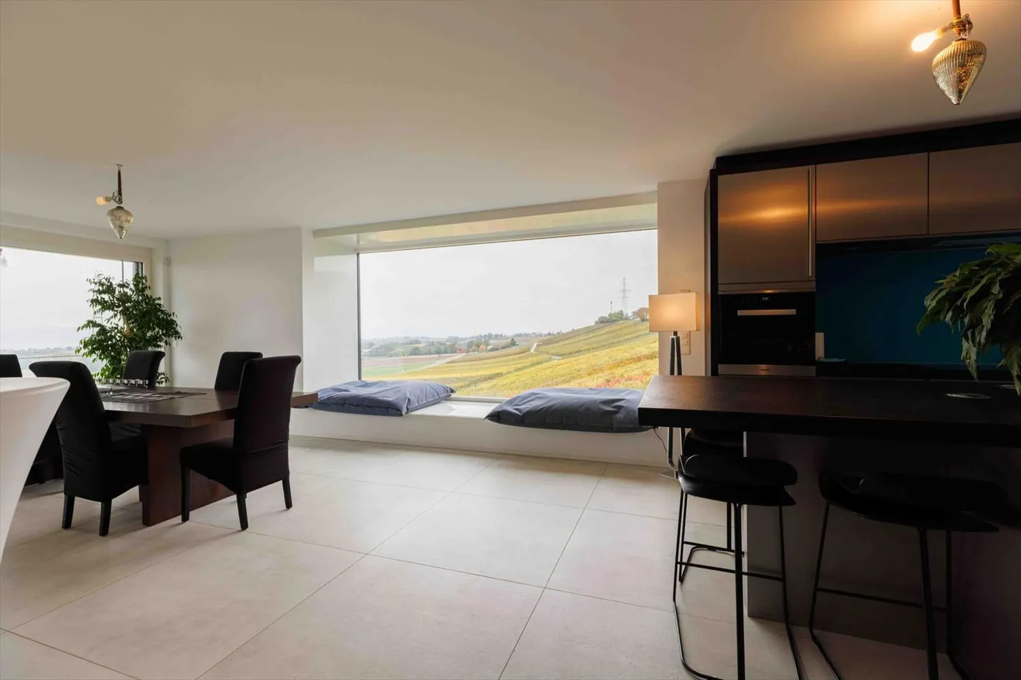 CLARMONT - Magnificent Architect Villa and Private Vineyard - Photo 7 of 13