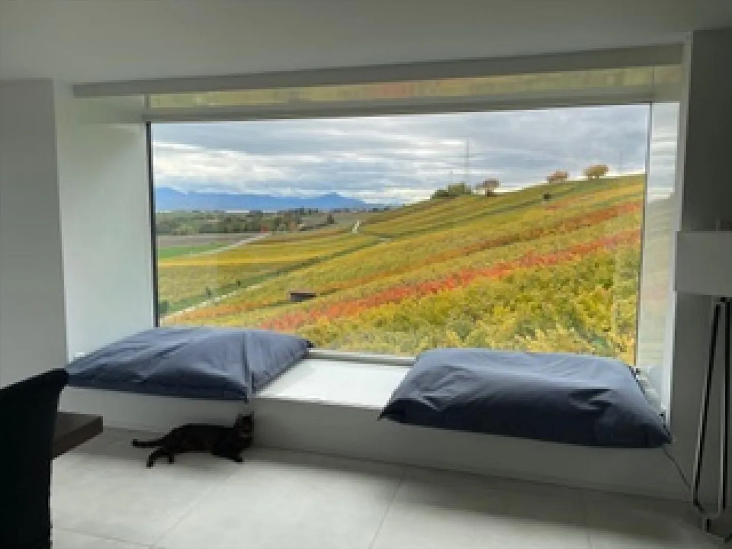 CLARMONT - Magnificent Architect Villa and Private Vineyard - Photo 9 of 13