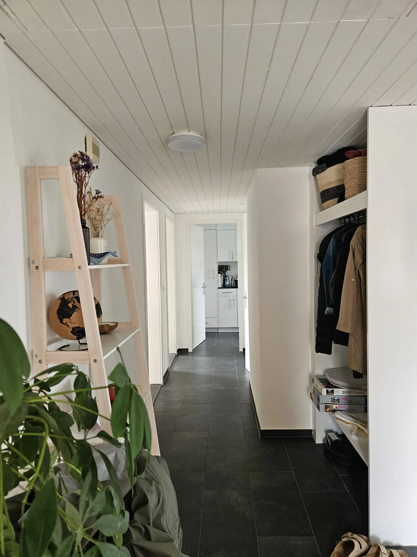 APPARTAMENTO 3 LOCALI A LENZBURG (AG), ARREDATO, TEMPORANEO - Foto 8 di 9