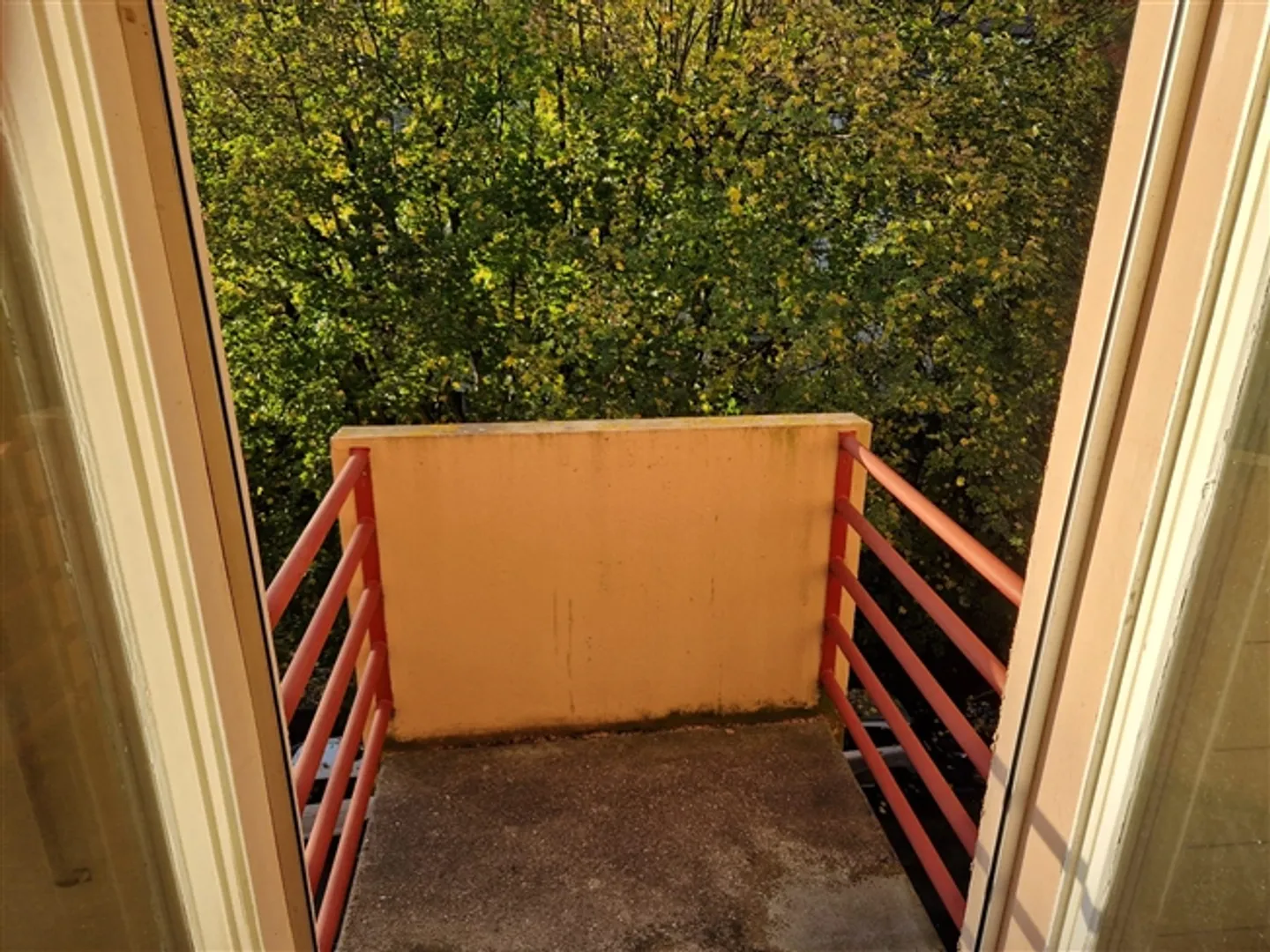 «3-Zimmer-Wohnung in Plainpalais.» - Foto 7 von 7