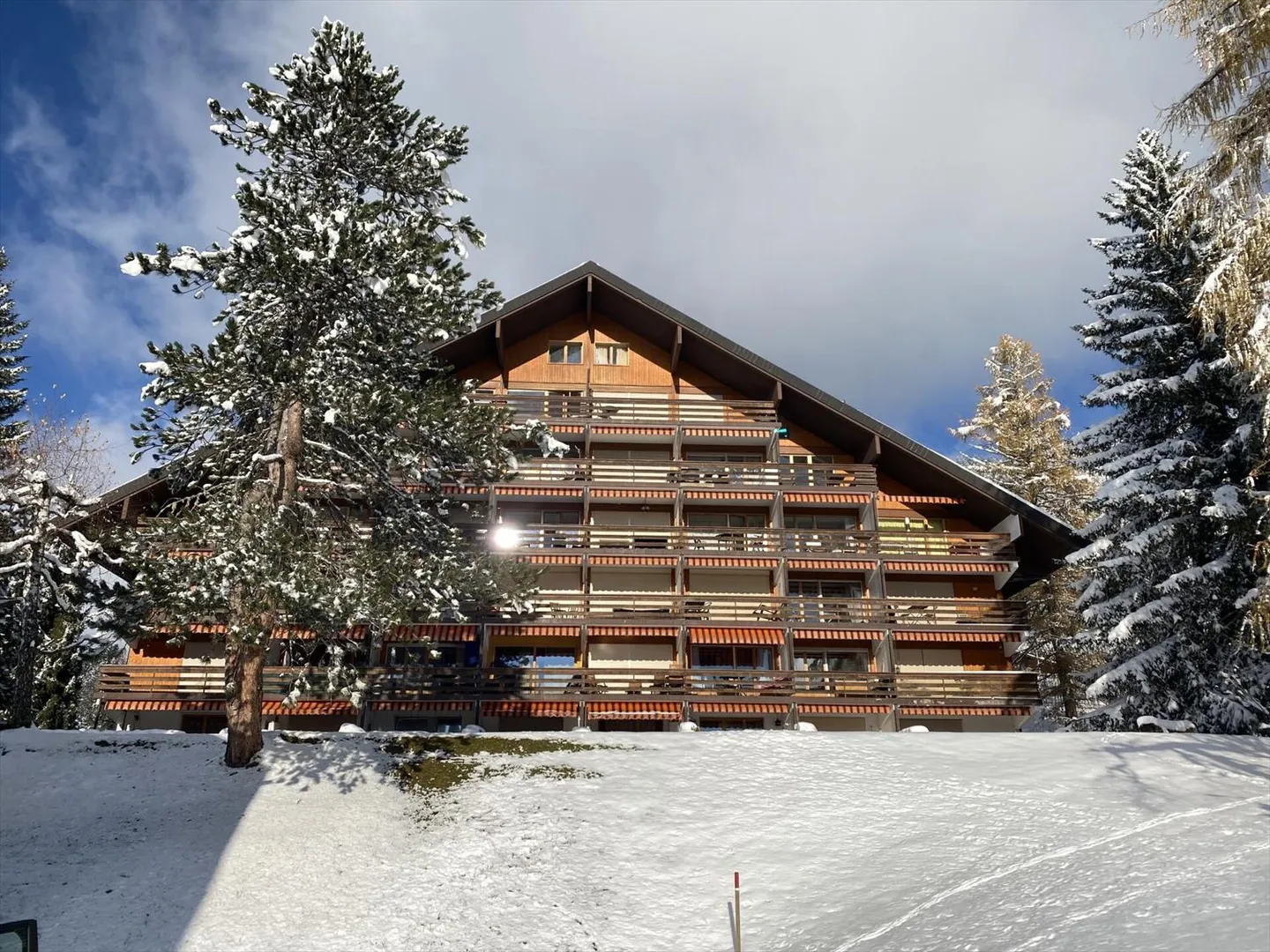 Agate 11 - Foto 1 von 11