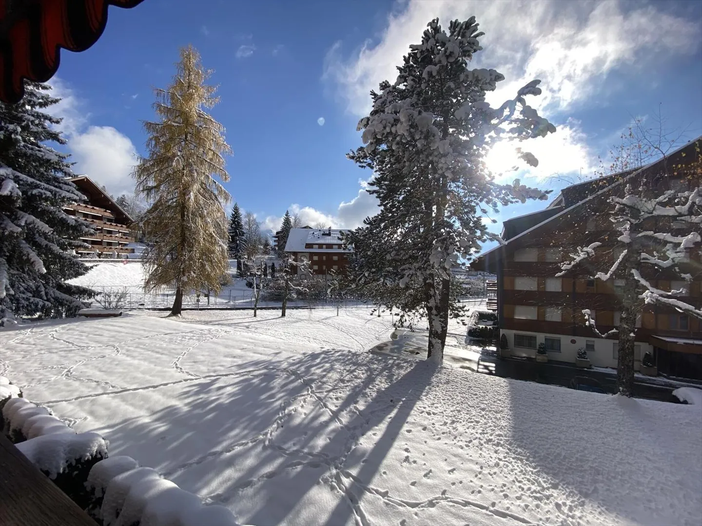 Agate 11 - Foto 8 von 11