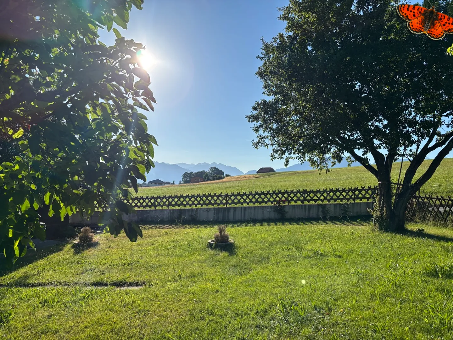 OPPORTUNITÀ A VUADENS: Casa con 2 appartamenti su grande terreno - Foto 5 di 21