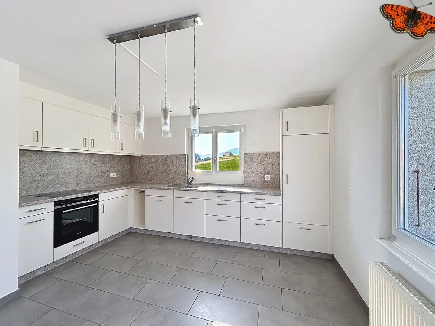 OPPORTUNITÀ A VUADENS: Casa con 2 appartamenti su grande terreno - Foto 6 di 21