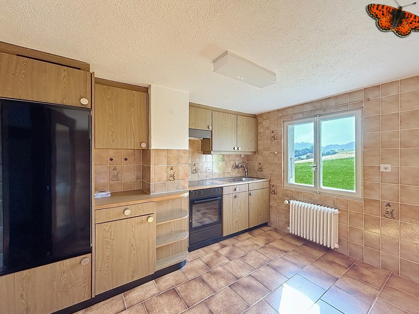 OPPORTUNITÀ A VUADENS: Casa con 2 appartamenti su grande terreno - Foto 13 di 21