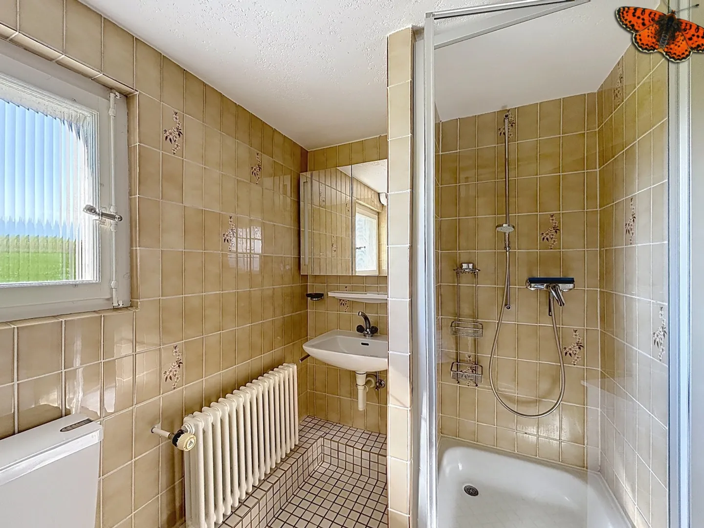 OPPORTUNITÀ A VUADENS: Casa con 2 appartamenti su grande terreno - Foto 17 di 21