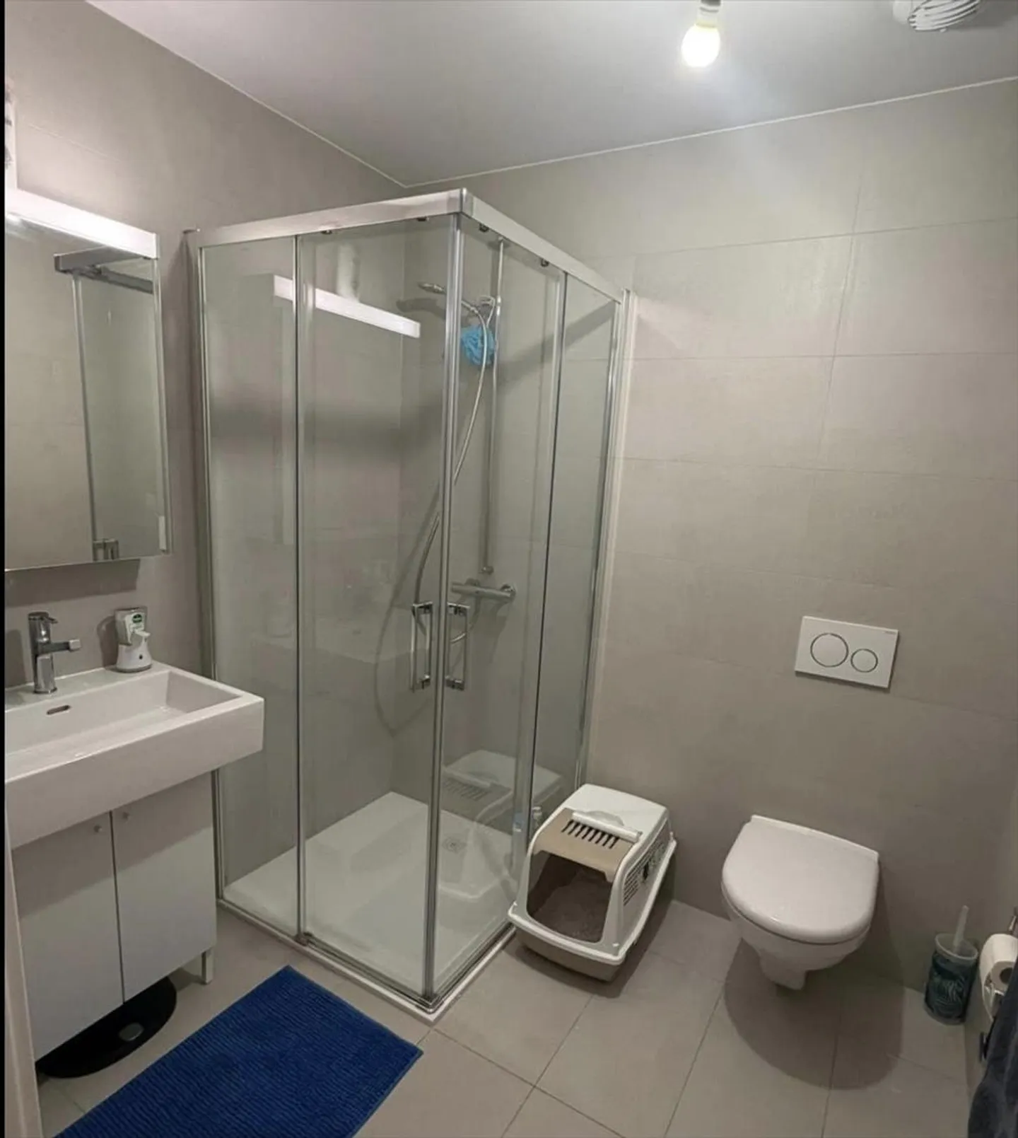 Beautiful 4-room apartment in Petit-Saconnex - Photo 7 of 11