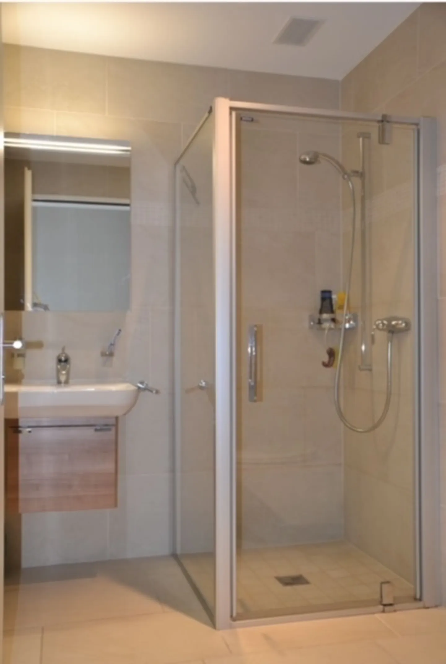 APPARTAMENTO 4½ LOCALI A HORGEN (ZH), ARREDATO - Foto 7 di 12