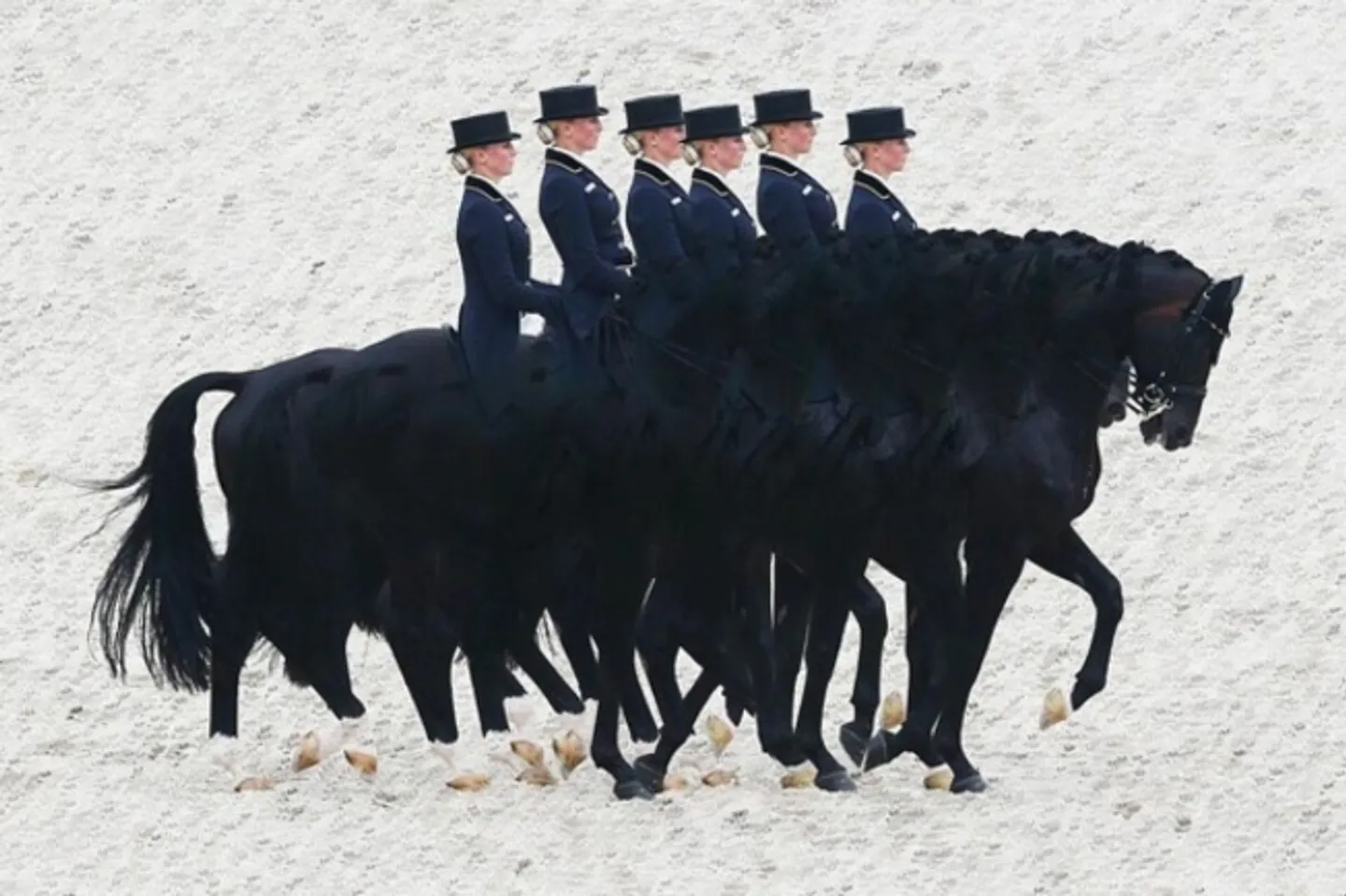 Proprietà equestre recentemente ristrutturata con casa residenziale e studio - Foto 1 di 6