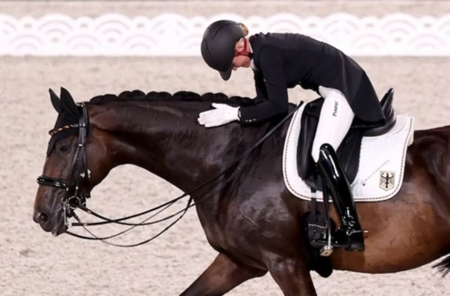 Proprietà equestre recentemente ristrutturata con casa residenziale e studio - Foto 3 di 6