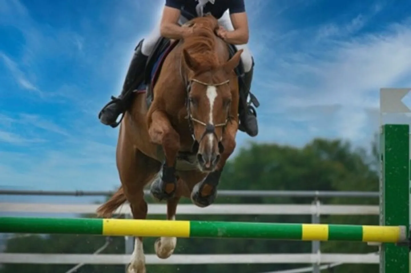 Proprietà equestre recentemente ristrutturata con casa residenziale e studio - Foto 5 di 6