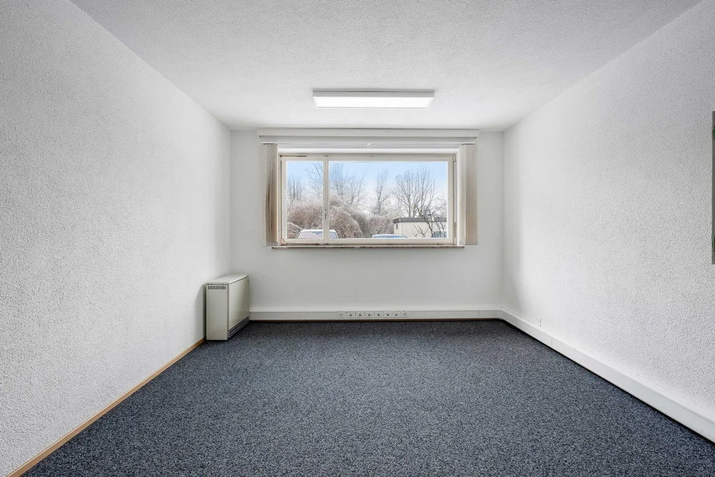 offices - Photo 6 of 13