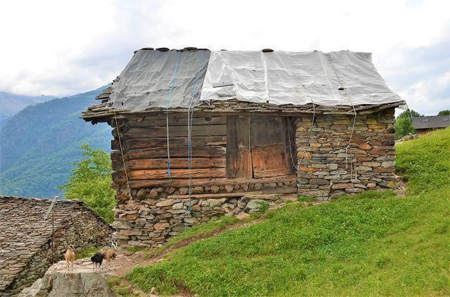 Rustico con Vista Panoramica - Foto 3 di 25