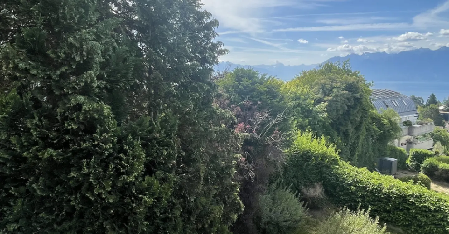 Charmante 2,5-Zimmer-Wohnung in Pully mit herrlichem Blick auf den See - Foto 10 von 10