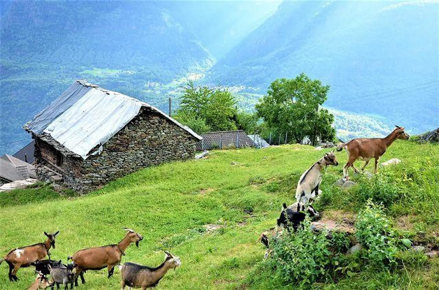 Rustico con Vista Panoramica - Foto 15 di 25