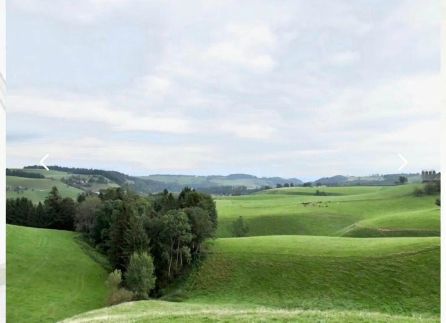 Modernes Eckhaus mit Garten - Foto 12 von 12