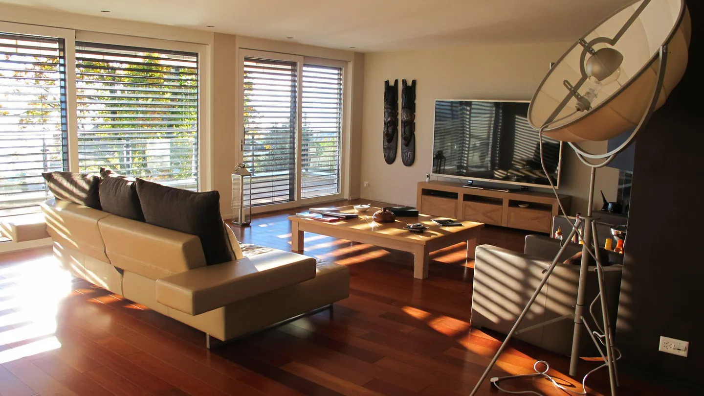 Contemporary Apartment with Lake View - Photo 4 of 15