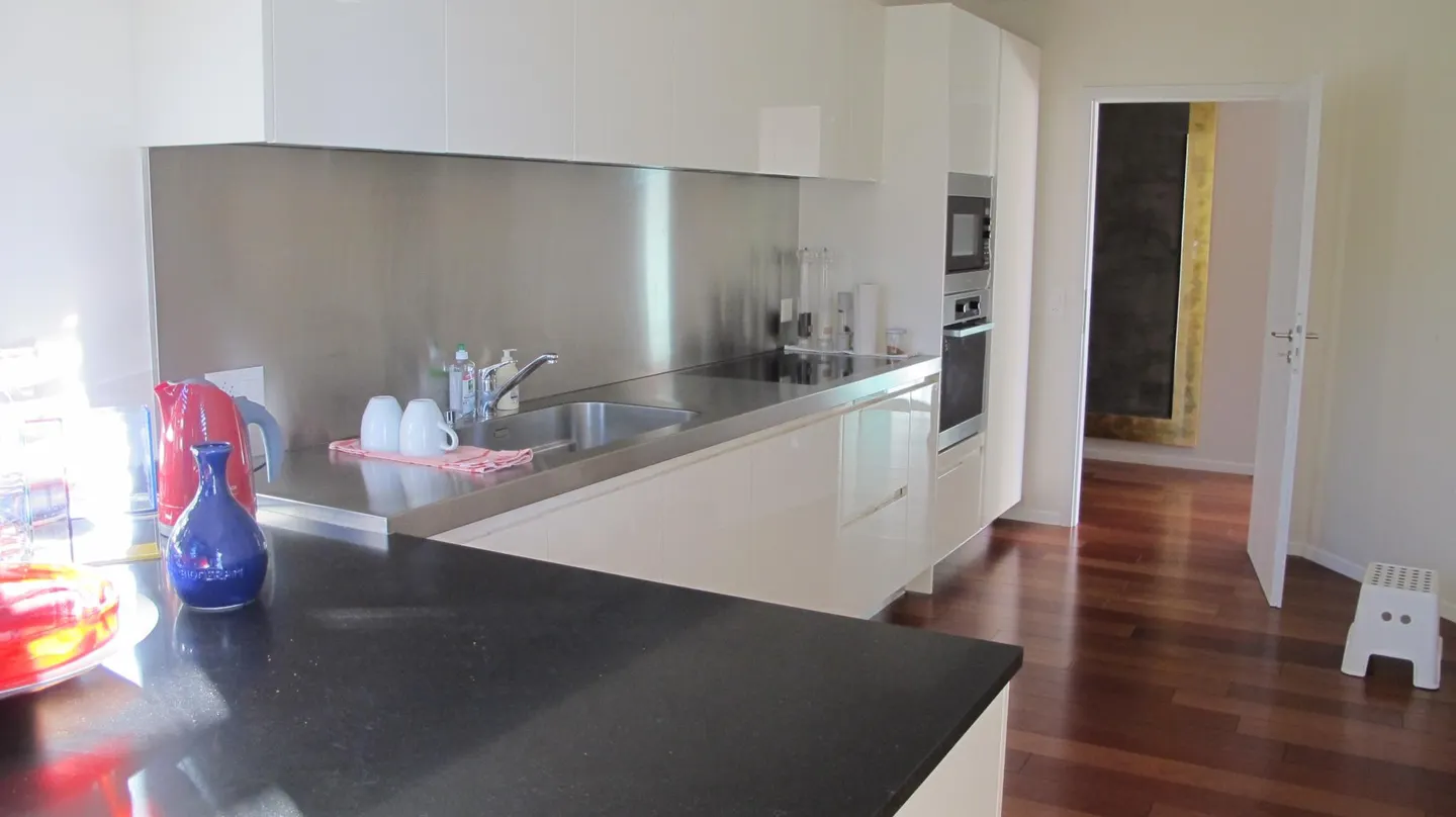 Contemporary Apartment with Lake View - Photo 12 of 15