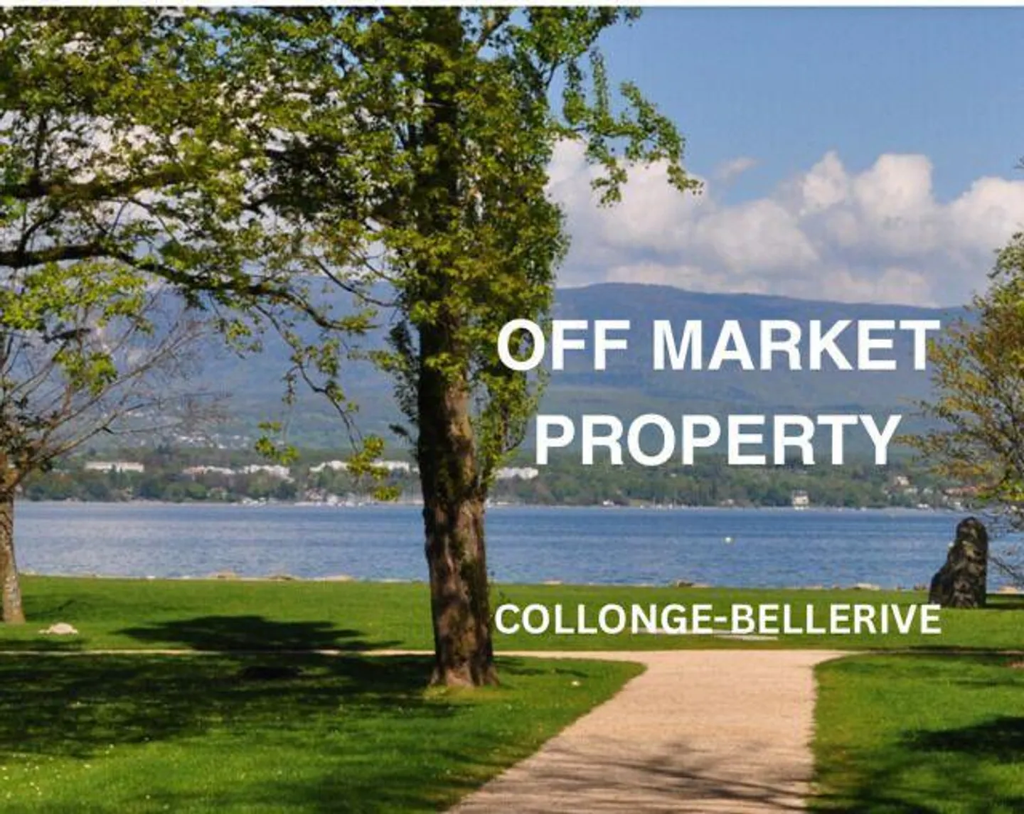 Villa contemporaine avec vue sur le lac - Photo 1 sur 1