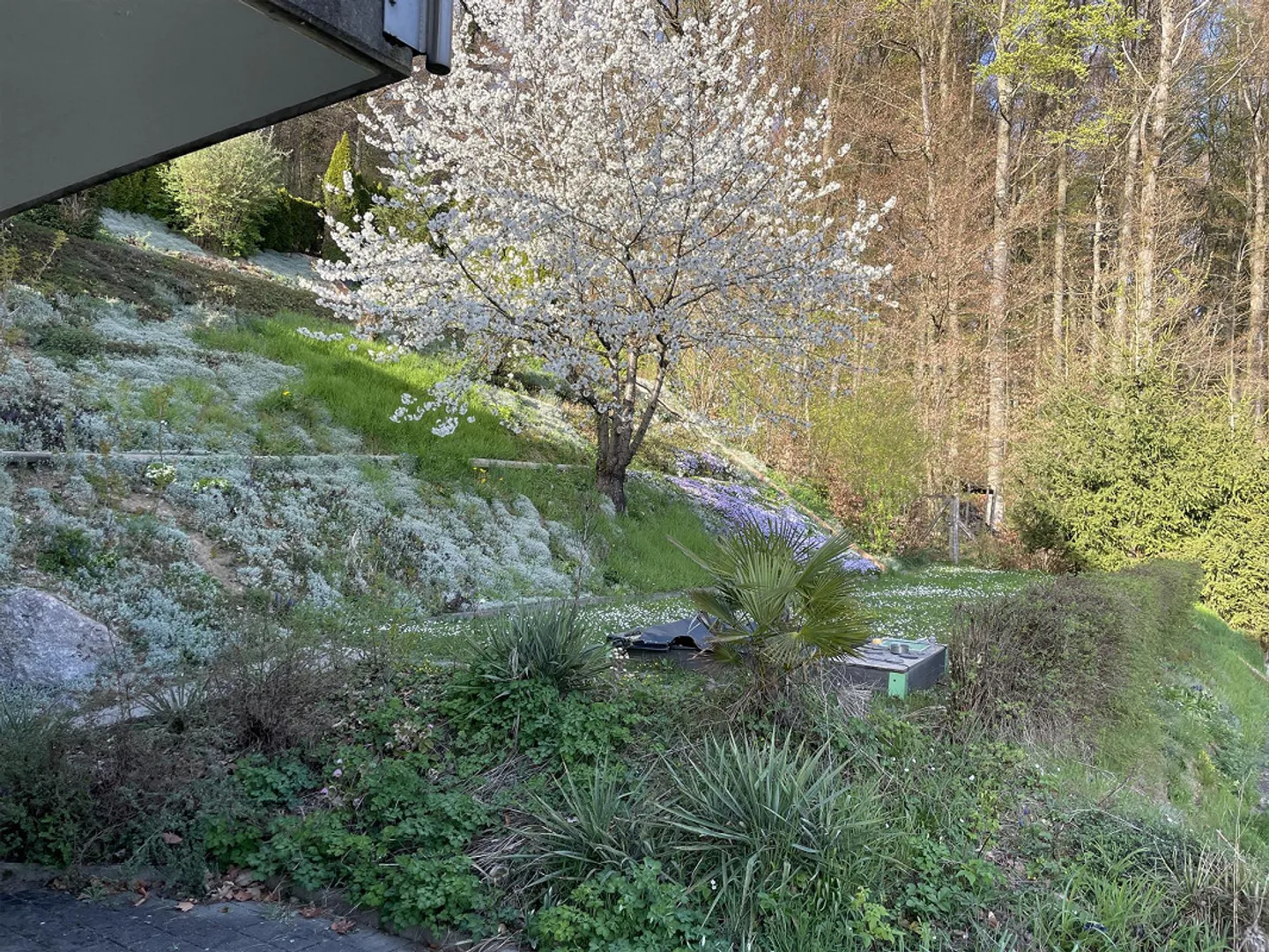 3 1/2 Room Apartment with Additional Hobby Room in the Basement Included - Photo 6 of 14