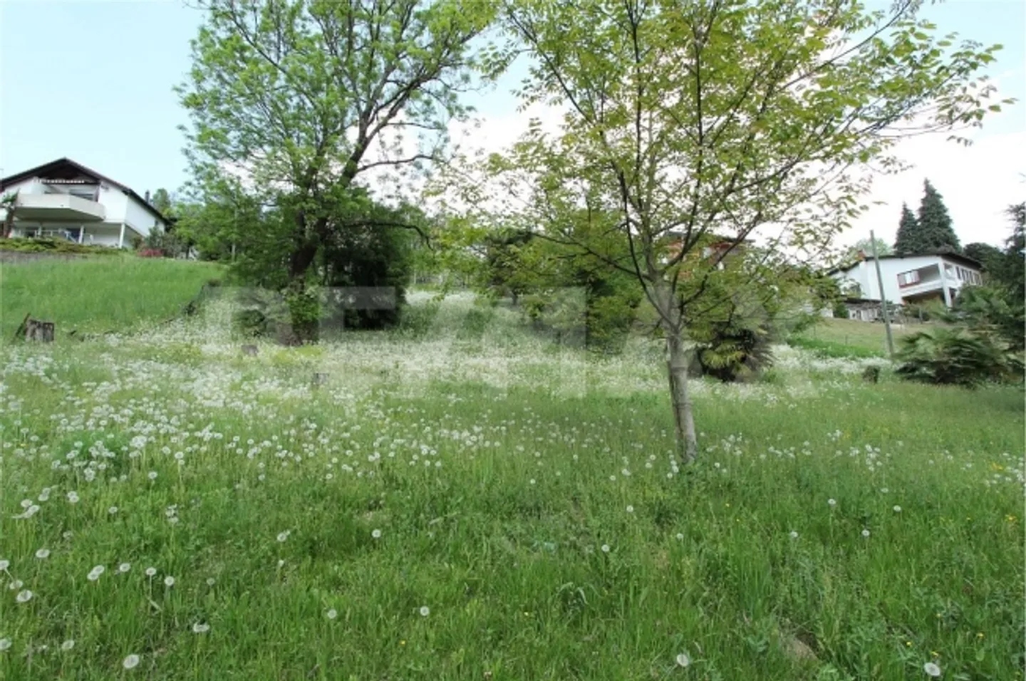 Apartment - Photo 4 of 13