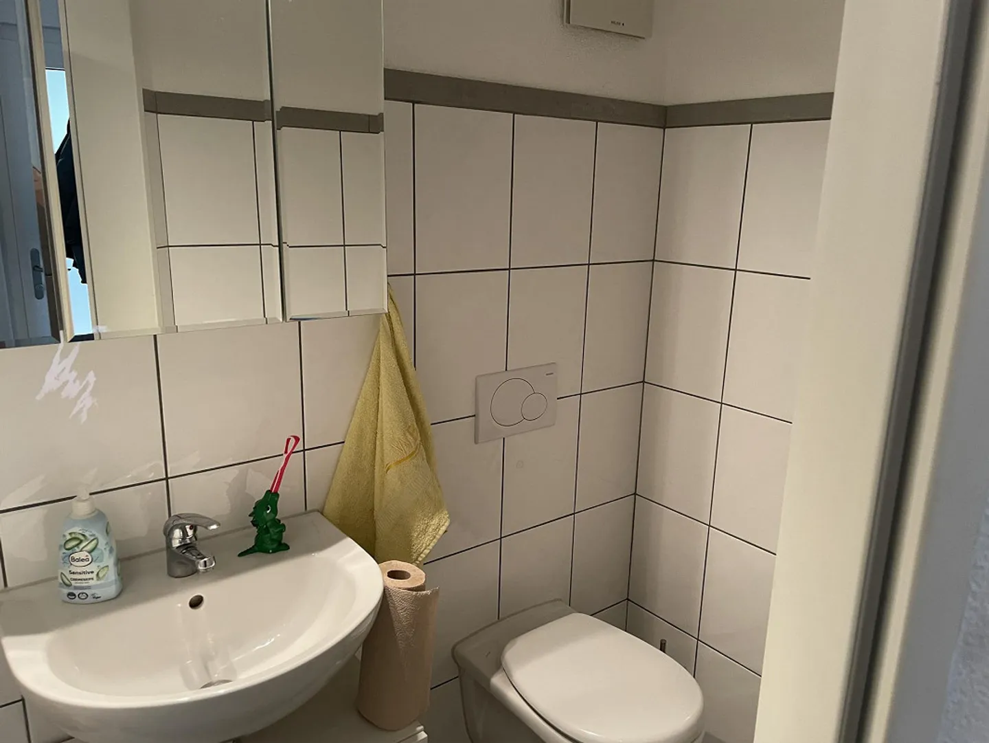 3 1/2 Room Apartment with Additional Hobby Room in the Basement Included - Photo 12 of 14