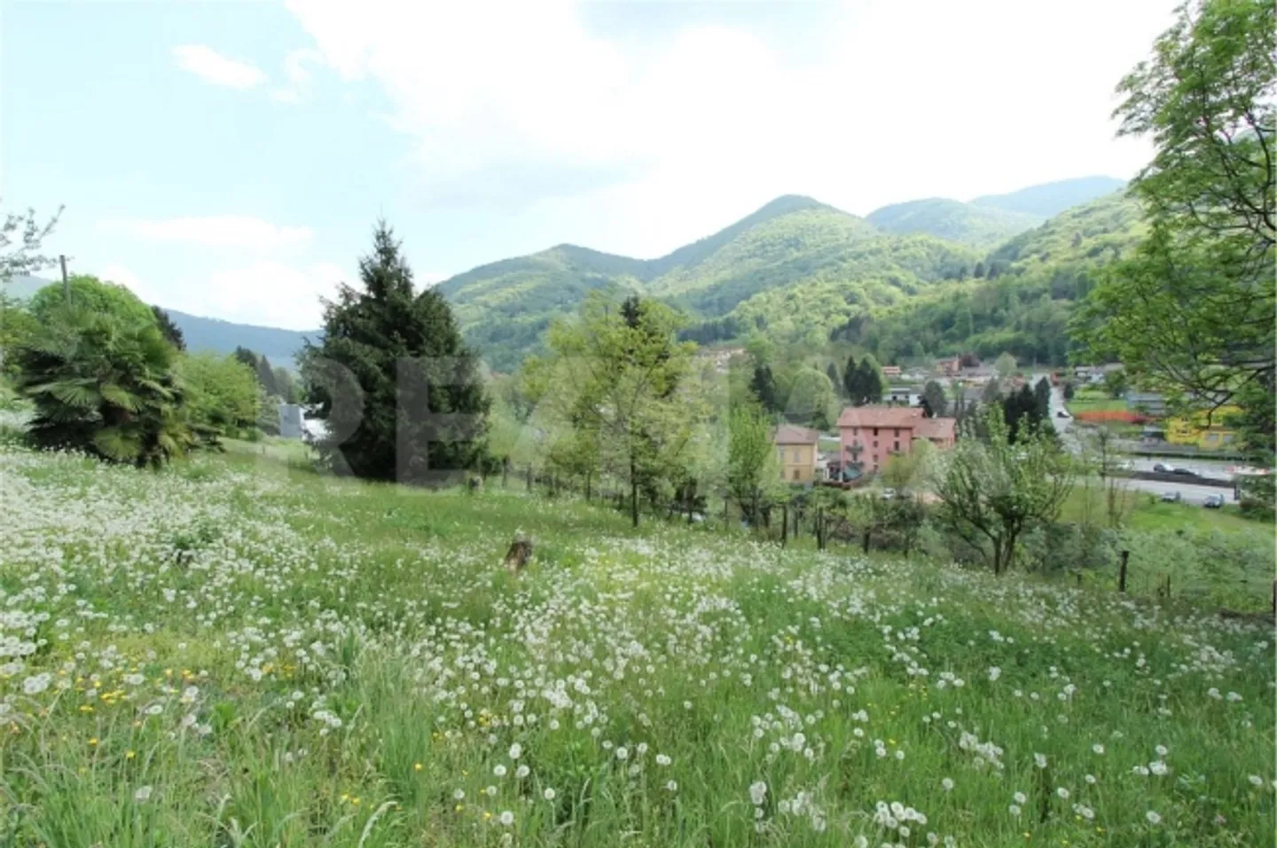 Apartment - Photo 6 of 13