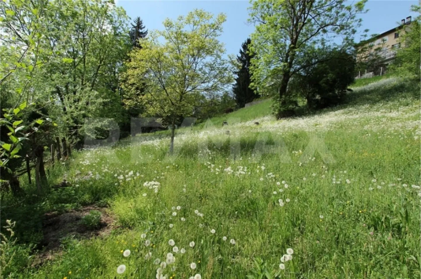 Apartment - Photo 13 of 13