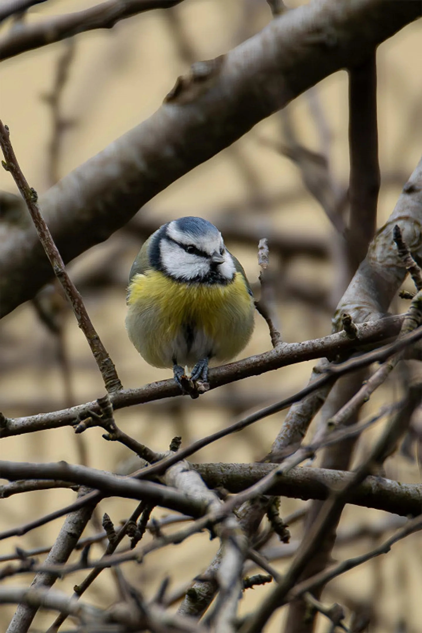 Ein Bijou für Naturliebhaber, Ruhesuchende und Gartenfreunde - Photo 21 of 22