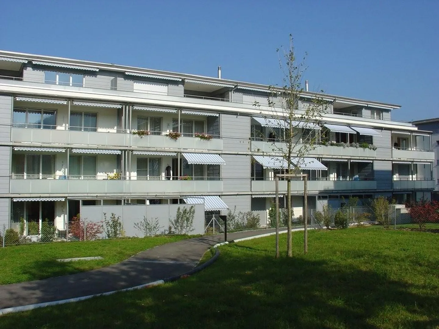 Appartement confortable avec vue sur la ferme et Gurten - Photo 2 sur 9