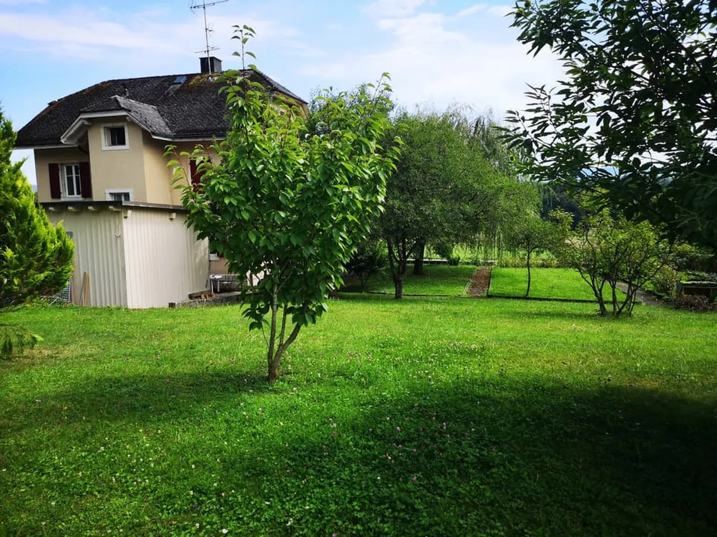 3,5-Zimmer-Wohnung im 1. Stock, verfügbar ab 01.07.2026 - Foto 4 von 13