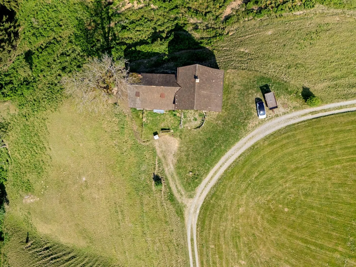 Ein Ort für neue Geschichten - Bauernhaus in einzigartiger Alleinlage - Photo 6 of 30